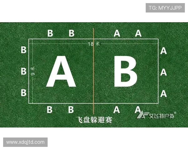 上海飞盘队的整体压制革新与战术演变探讨