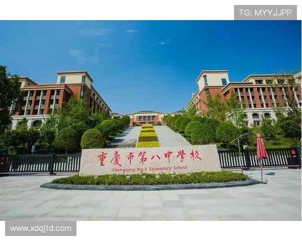 重庆飞盘队在全国耐力排行榜中荣获第九名展现出色实力与团队精神