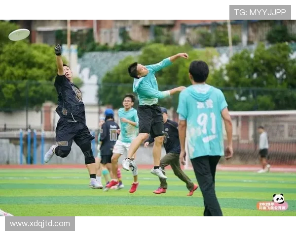 飞盘力量实力榜单权威发布揭示各队竞技水平与发展潜力